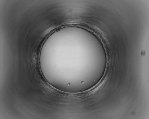 X0000101701449200807101335