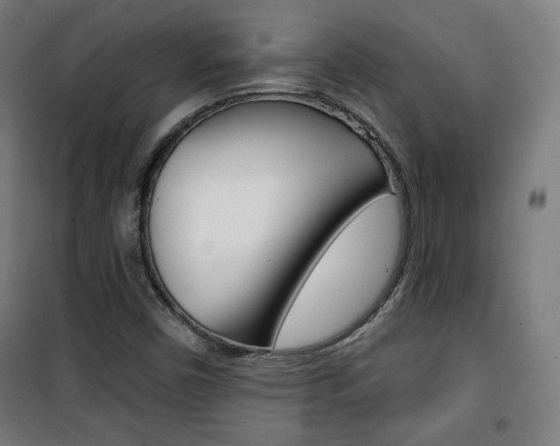 X0000101701450200807101335