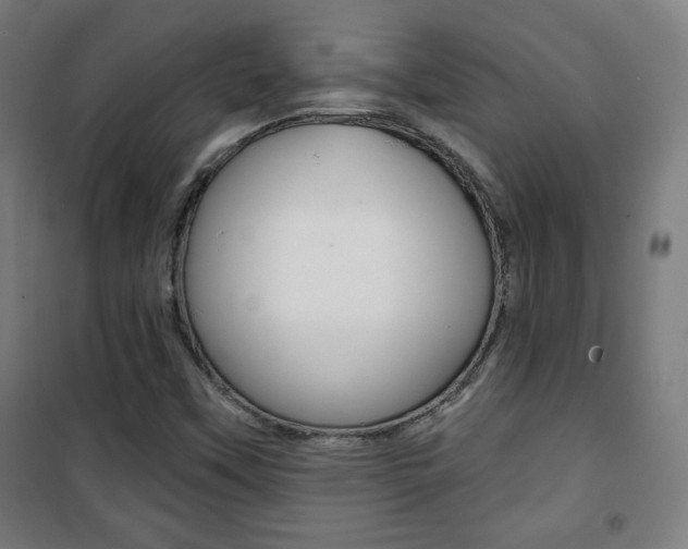 X0000101701451200807101335