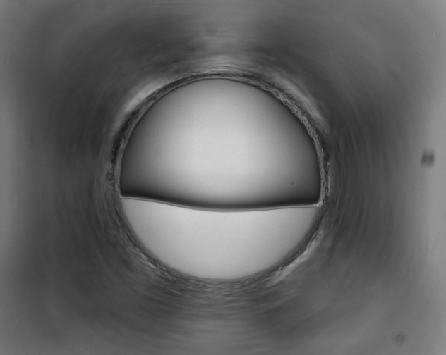 X0000101701453200807101335