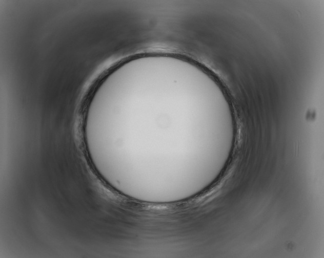 X0000101701454200807101335