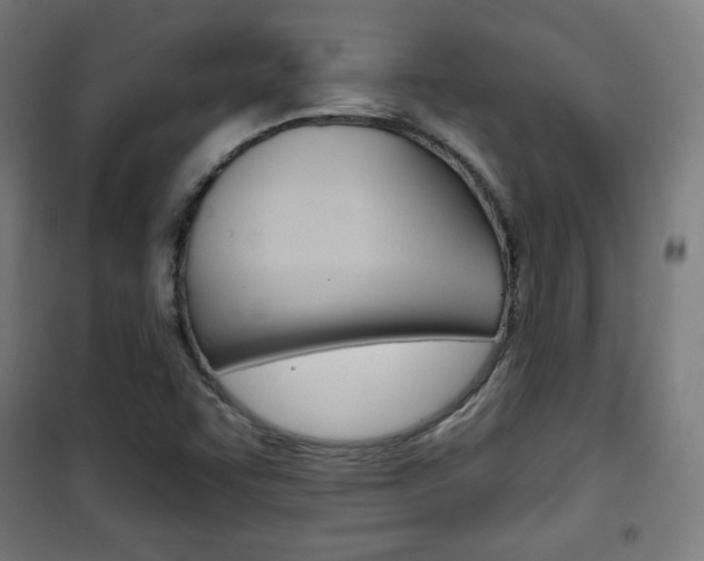 X0000101701455200807101334
