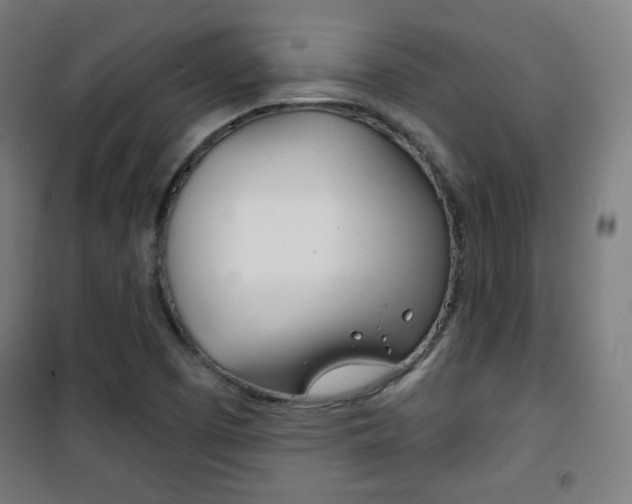 X0000101701457200807101334
