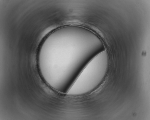 X0000101701458200807101334