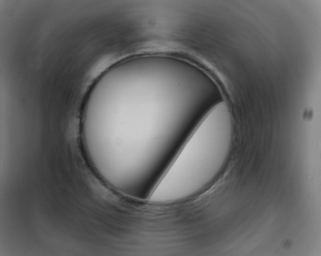 X0000101701459200807101334