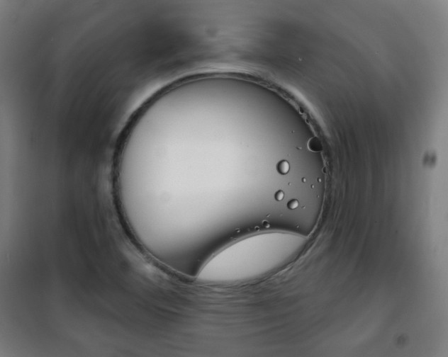 X0000101701460200807101334