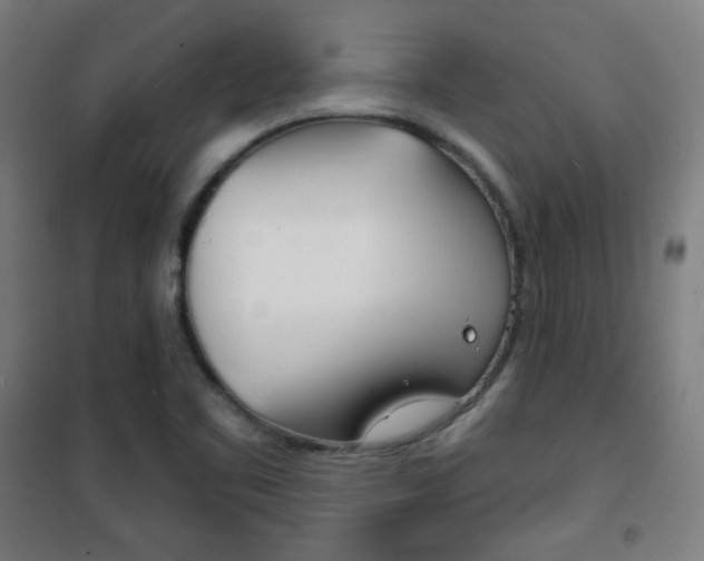 X0000101701461200807101334