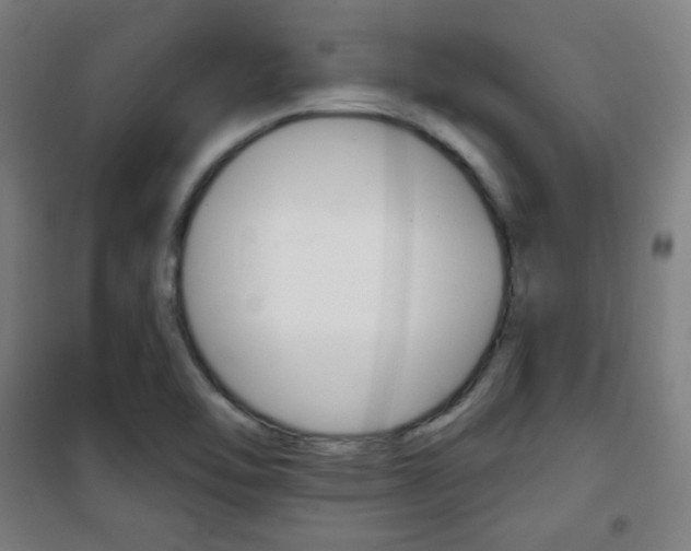 X0000101701462200807101334