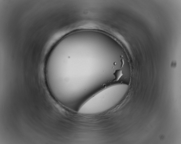 X0000101701464200807101334