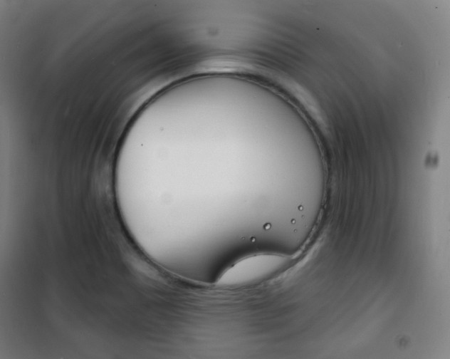 X0000101701465200807101334