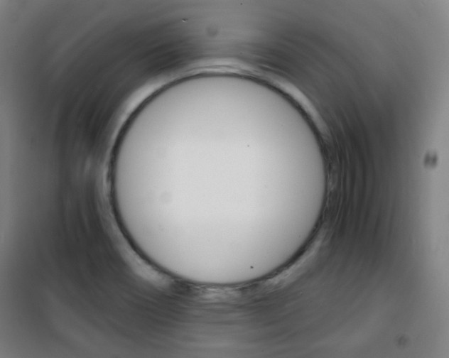 X0000101701466200807101334