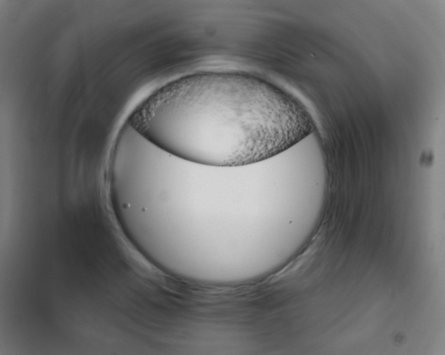 X0000101701467200807101334