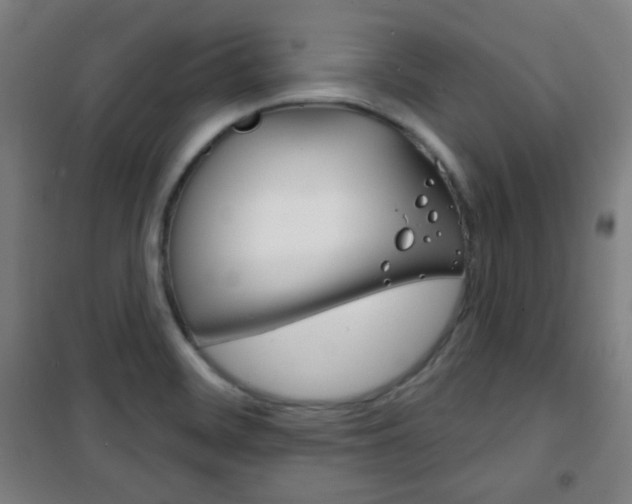 X0000101701468200807101334