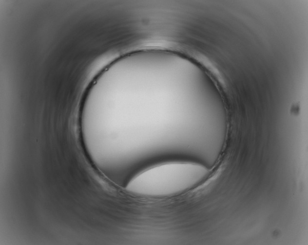 X0000101701469200807101334