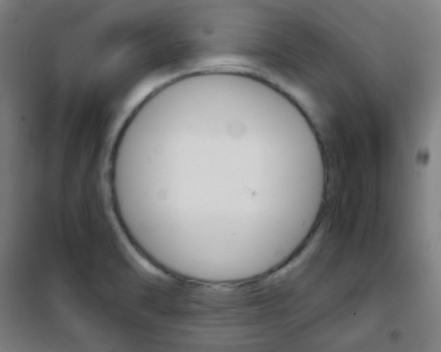 X0000101701470200807101334