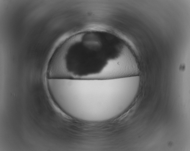 X0000101701471200807101334