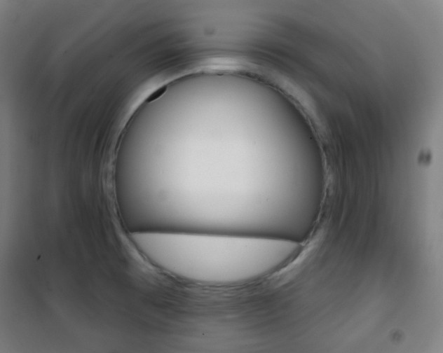 X0000101701473200807101334