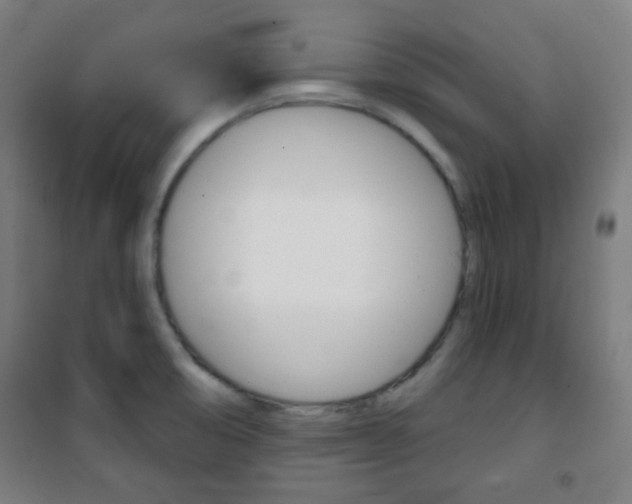 X0000101701474200807101334