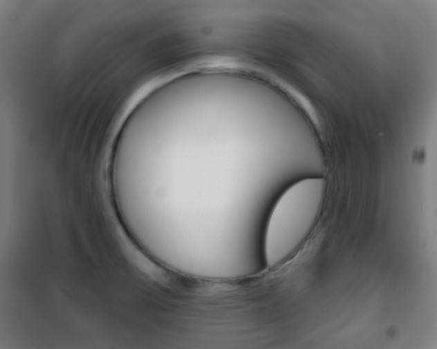 X0000101701475200807101334