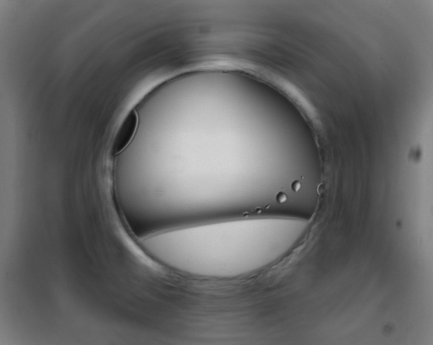 X0000101701476200807101334
