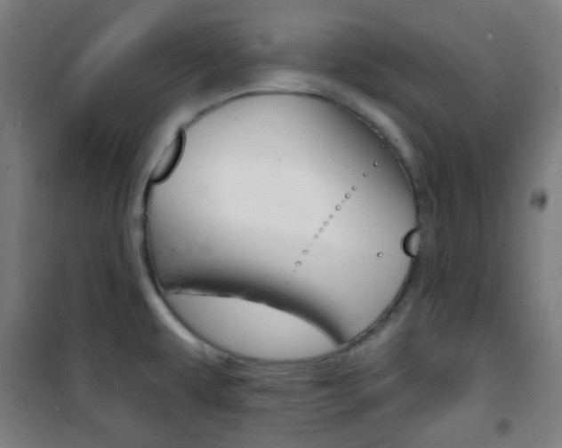 X0000101701479200807101334