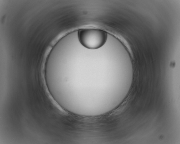 X0000101701480200807101334