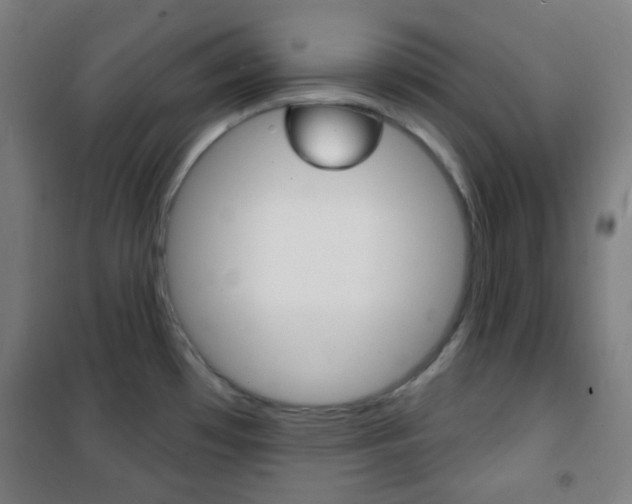 X0000101701481200807101334