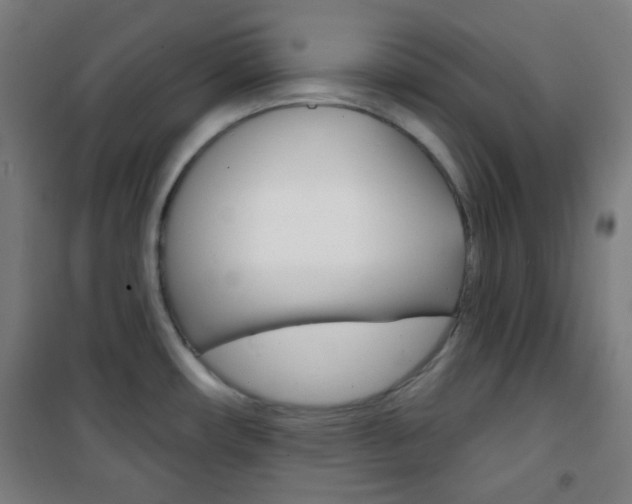 X0000101701482200807101334