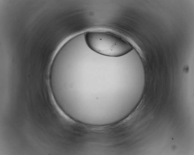 X0000101701484200807101334