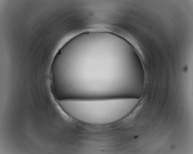 X0000101701485200807101334