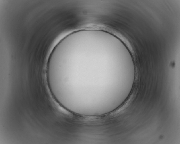 X0000101701486200807101334