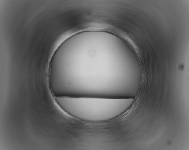 X0000101701487200807101334