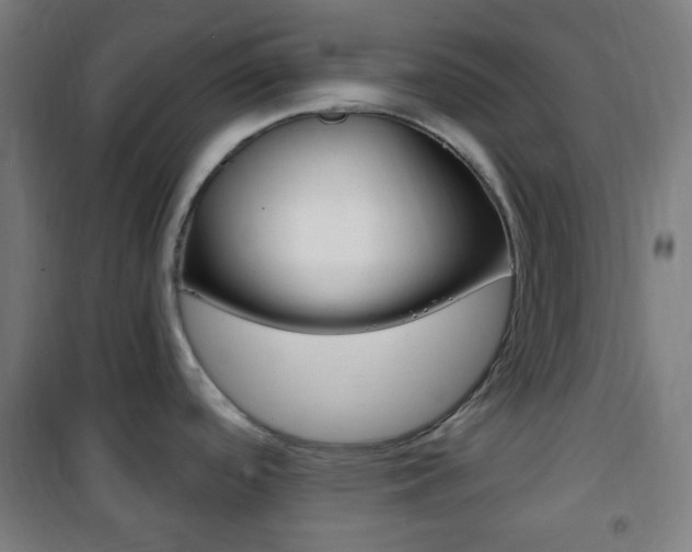 X0000101701488200807101334