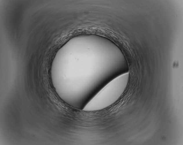 X0000101701489200807101333