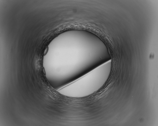 X0000101701490200807101333
