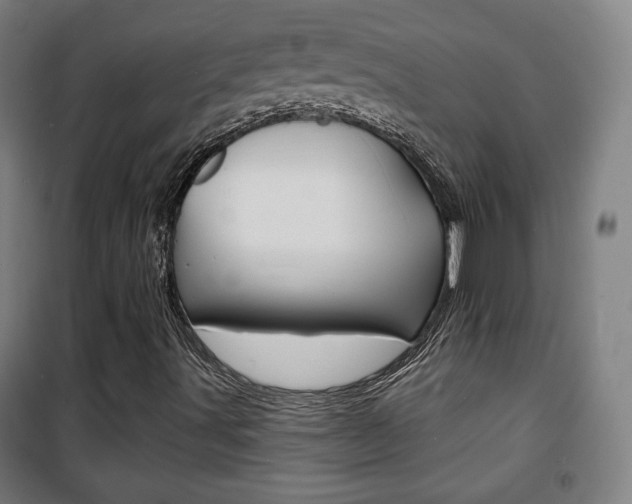 X0000101701491200807101333