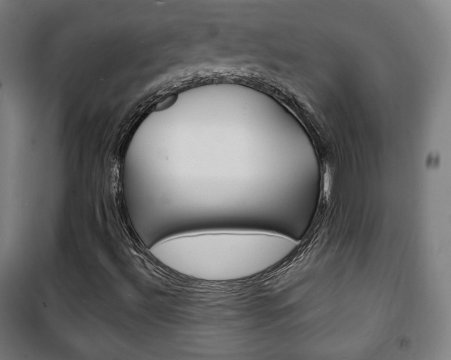 X0000101701492200807101333