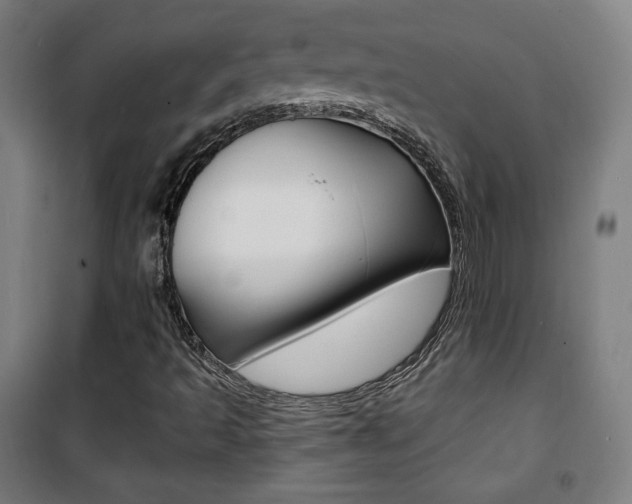 X0000101701493200807101333