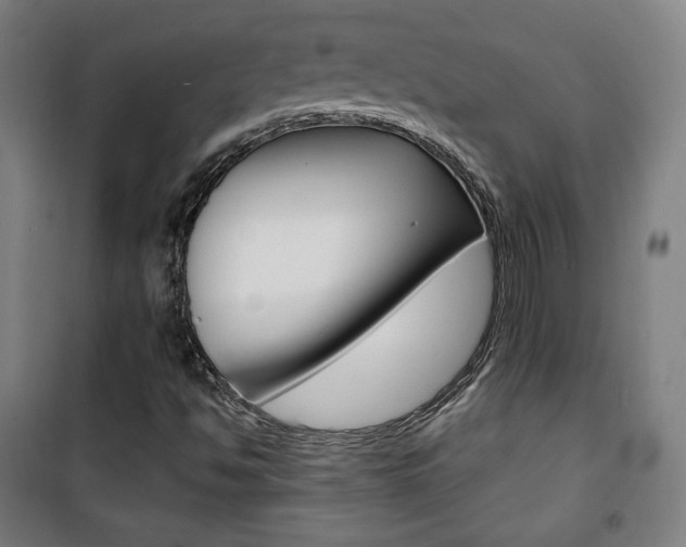 X0000101701494200807101333