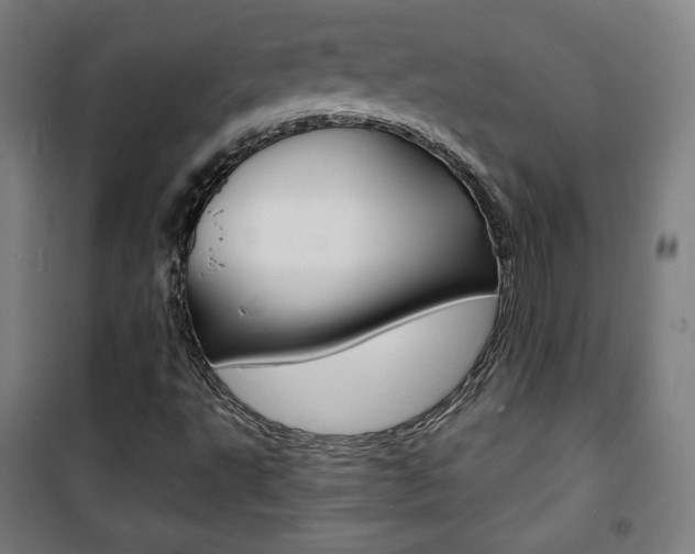 X0000101701495200807101333