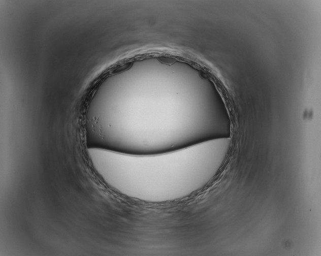 X0000101701496200807101333