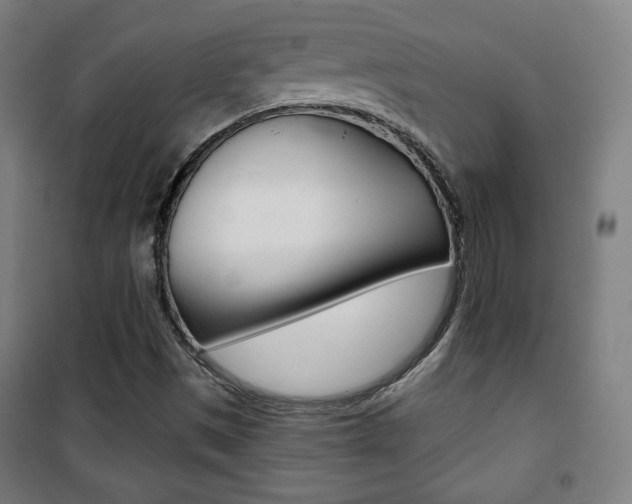 X0000101701497200807101333