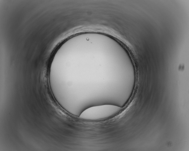 X0000101701498200807101333