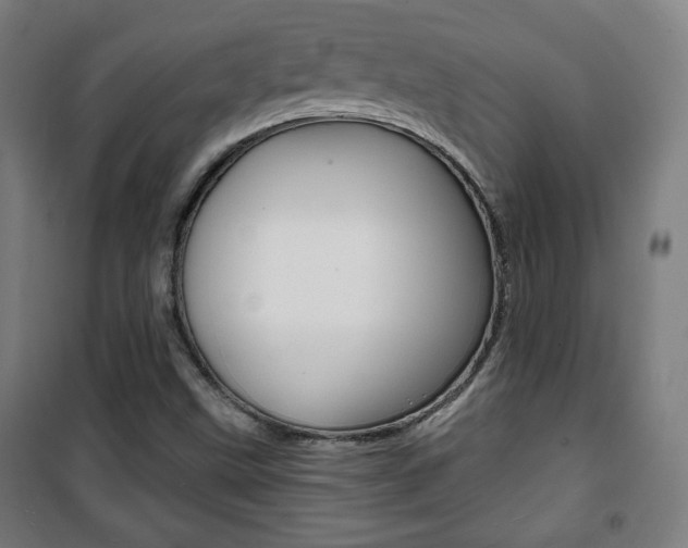 X0000101701499200807101334
