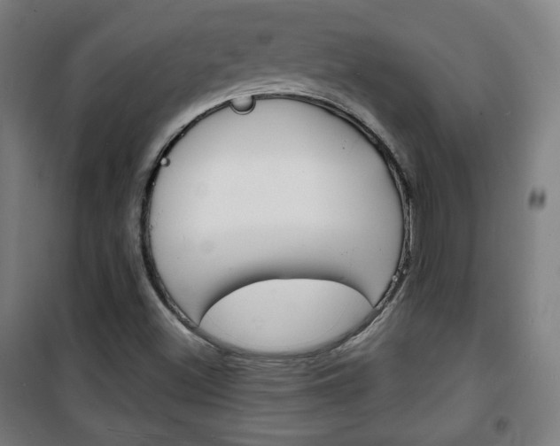 X0000101701500200807101334
