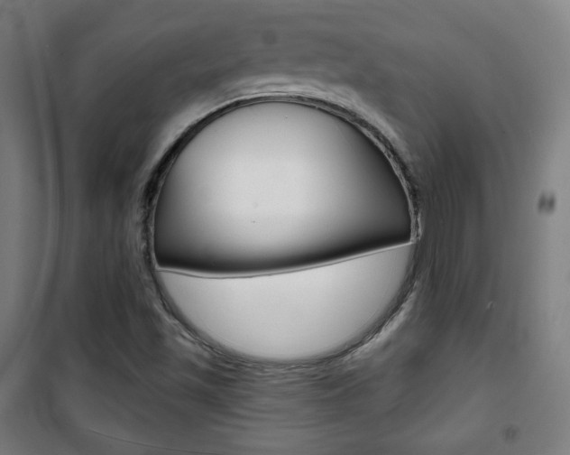 X0000101701501200807101334
