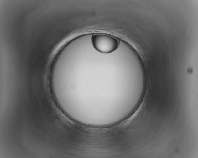 X0000101701502200807101334