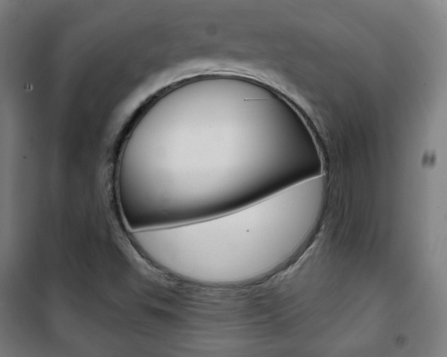 X0000101701503200807101334
