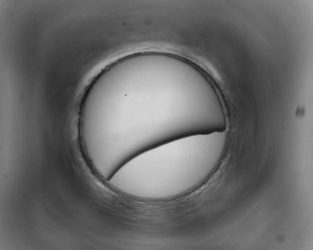X0000101701504200807101334