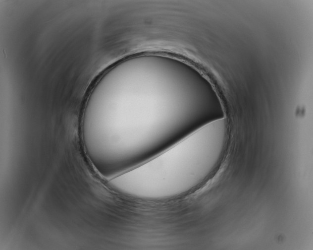 X0000101701505200807101334
